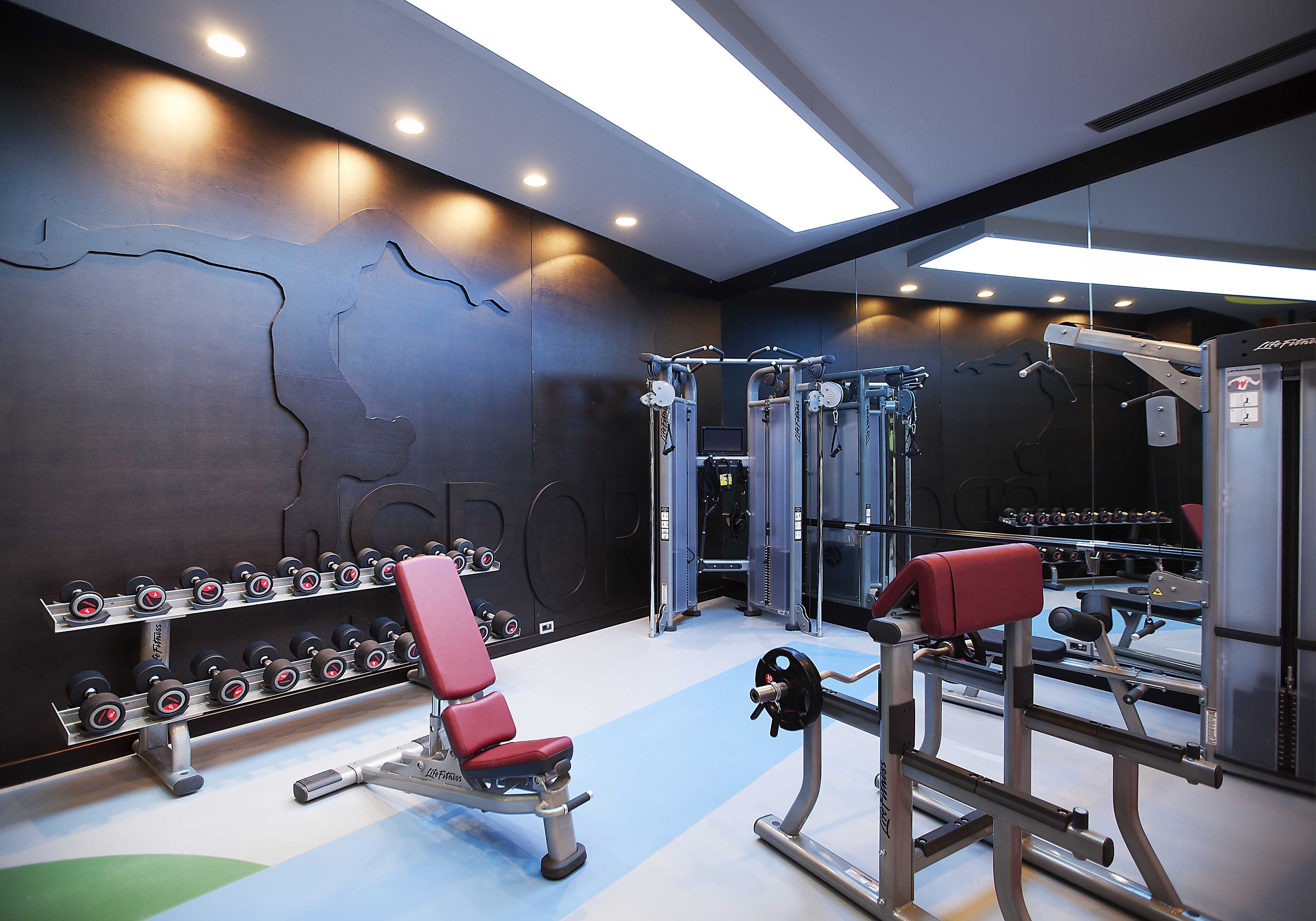 A modern gym with weightlifting equipment, benches, and dumbbells.