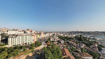 Un paisaje urbano costero con una mezcla de edificios residenciales y comerciales, un puente destacado y una vista despejada del mar.