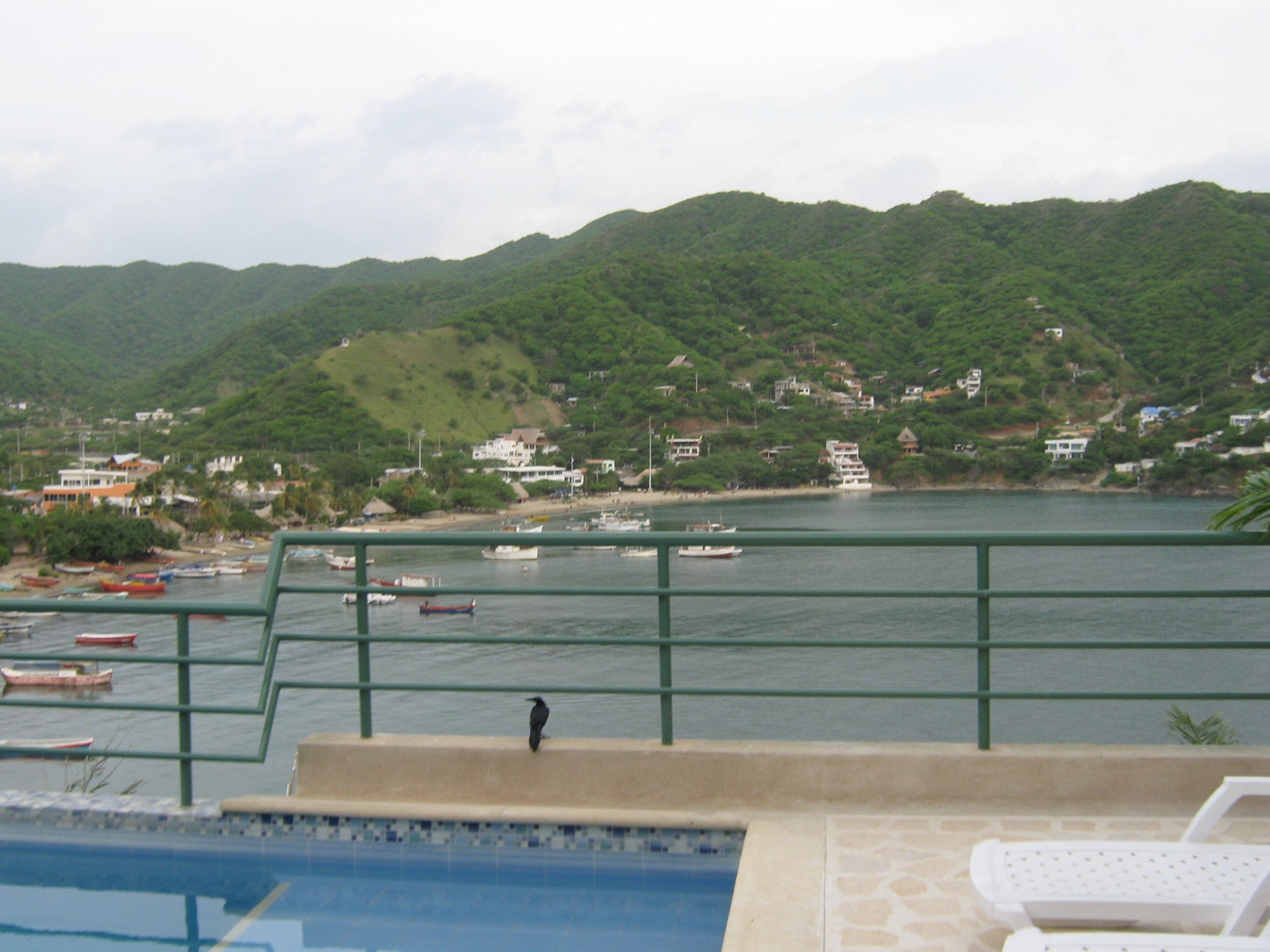 A coastal view with a swimming pool, a bird on the edge, boats on the water, and a hillside with buildings.