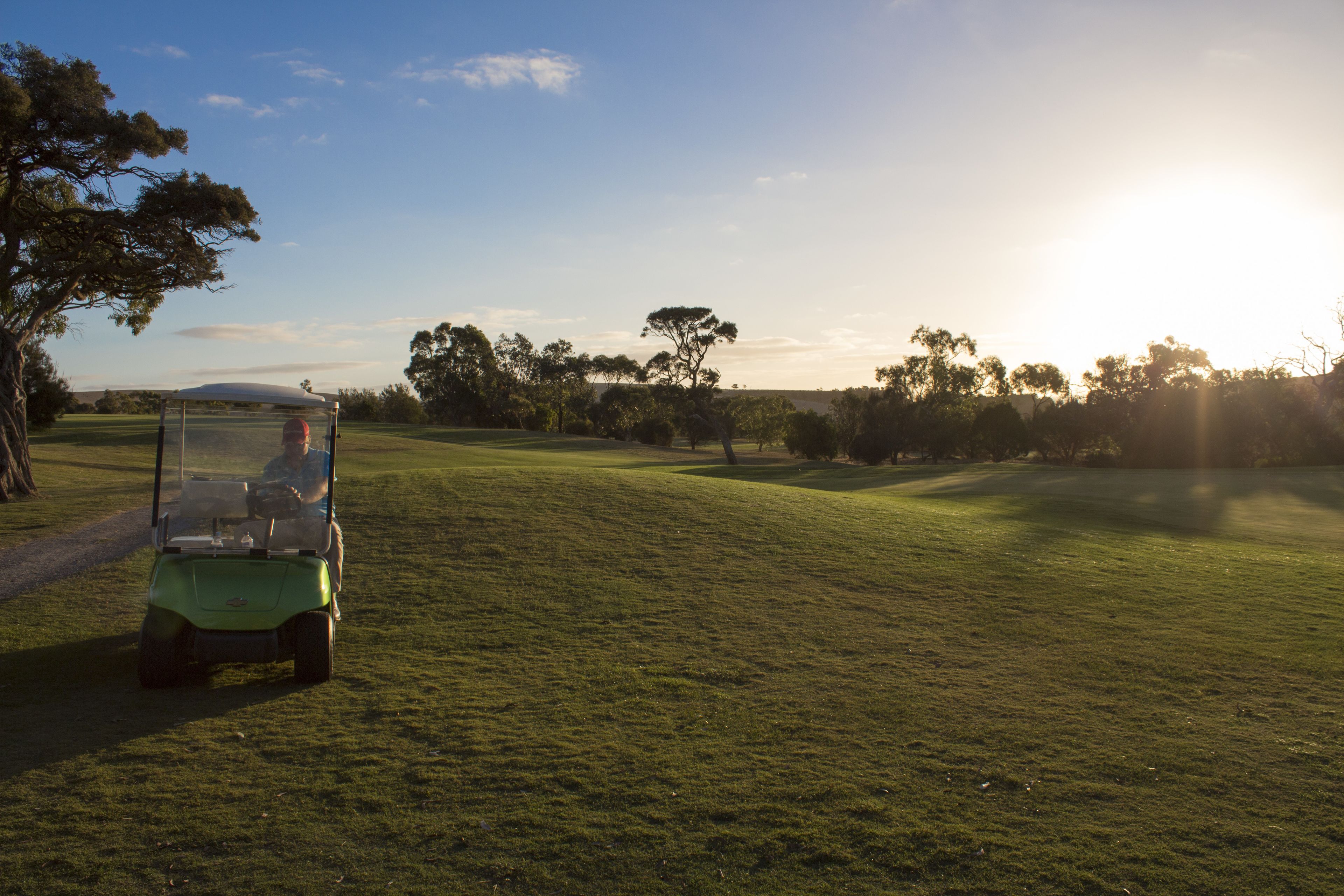 A golf cart on a grassy field with trees and a clear sky.