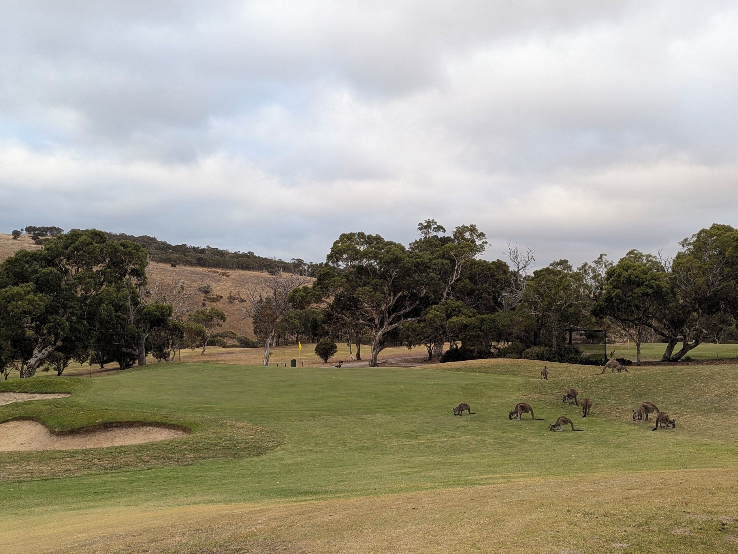 A golf course with a grassy fairway, sand bunkers, and trees.