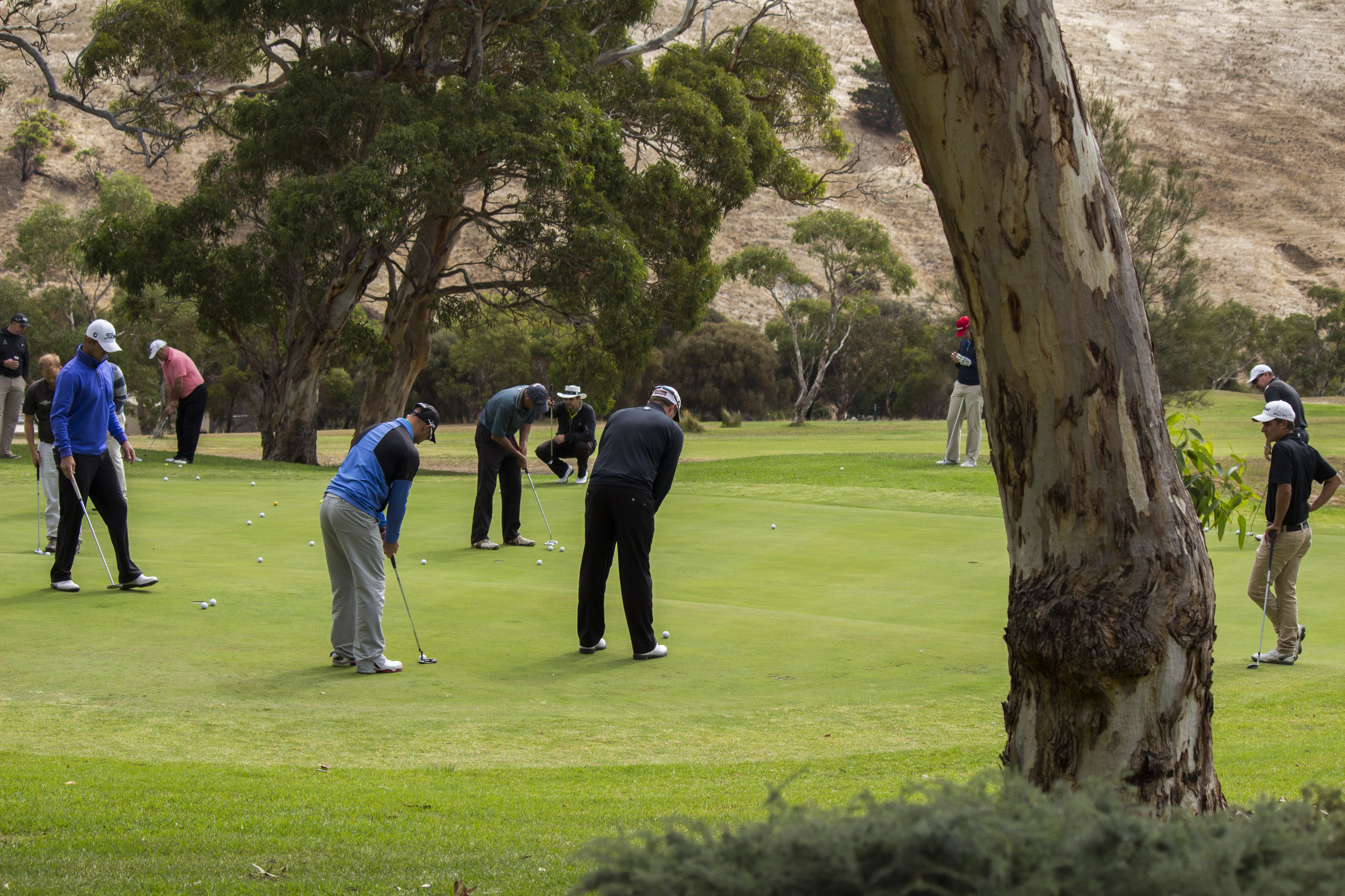 A golf course with players in motion, trees, and a hilly landscape in the background.