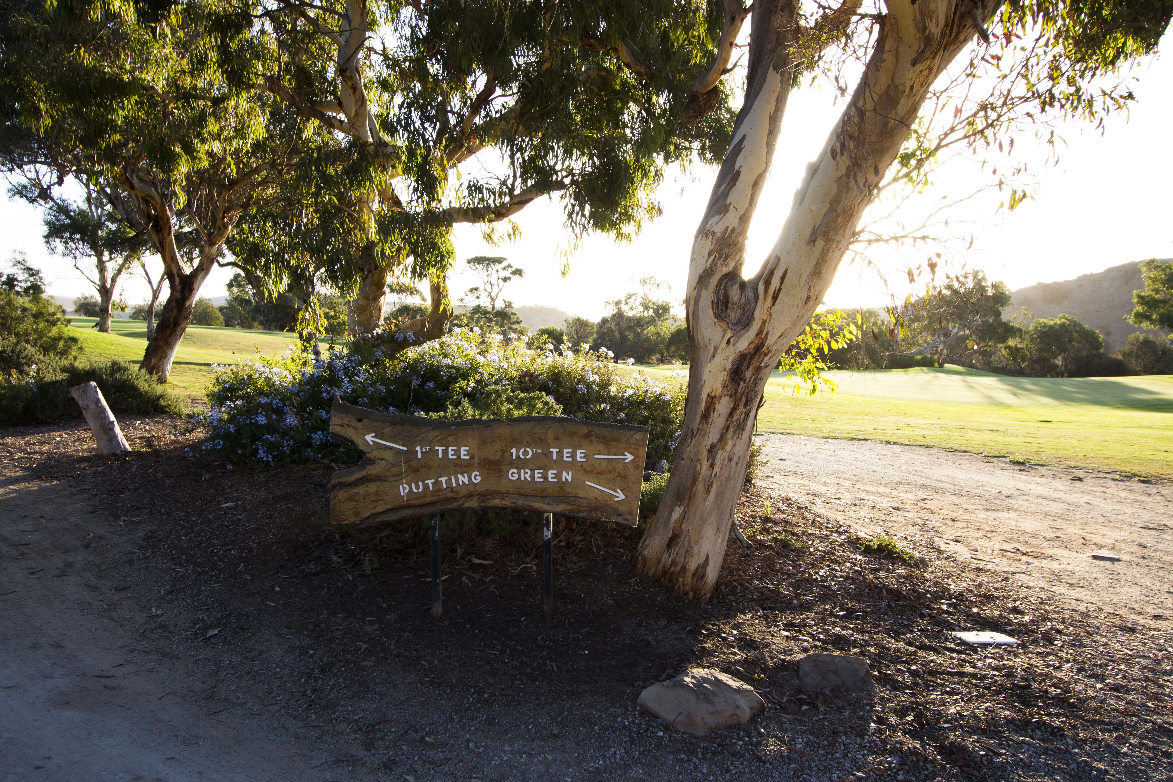 A wooden sign with directional arrows pointing to different tees.