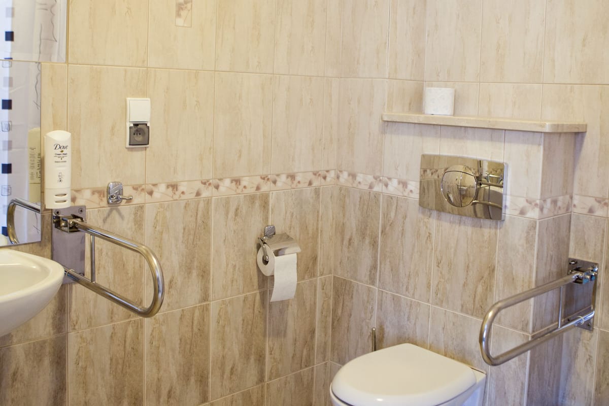 A bathroom with a toilet, sink, and handrails.