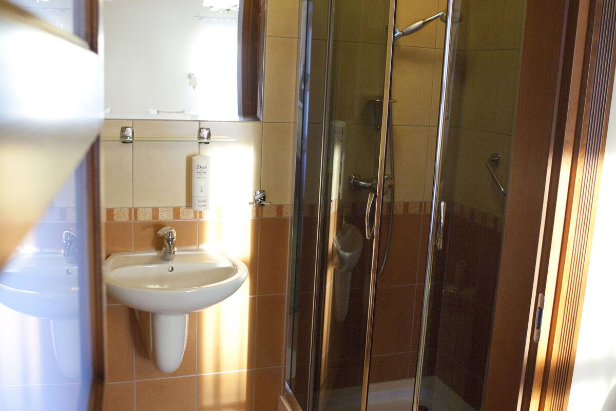standard double room | bathroom | shower, designer toiletries, hair dryer, towels
