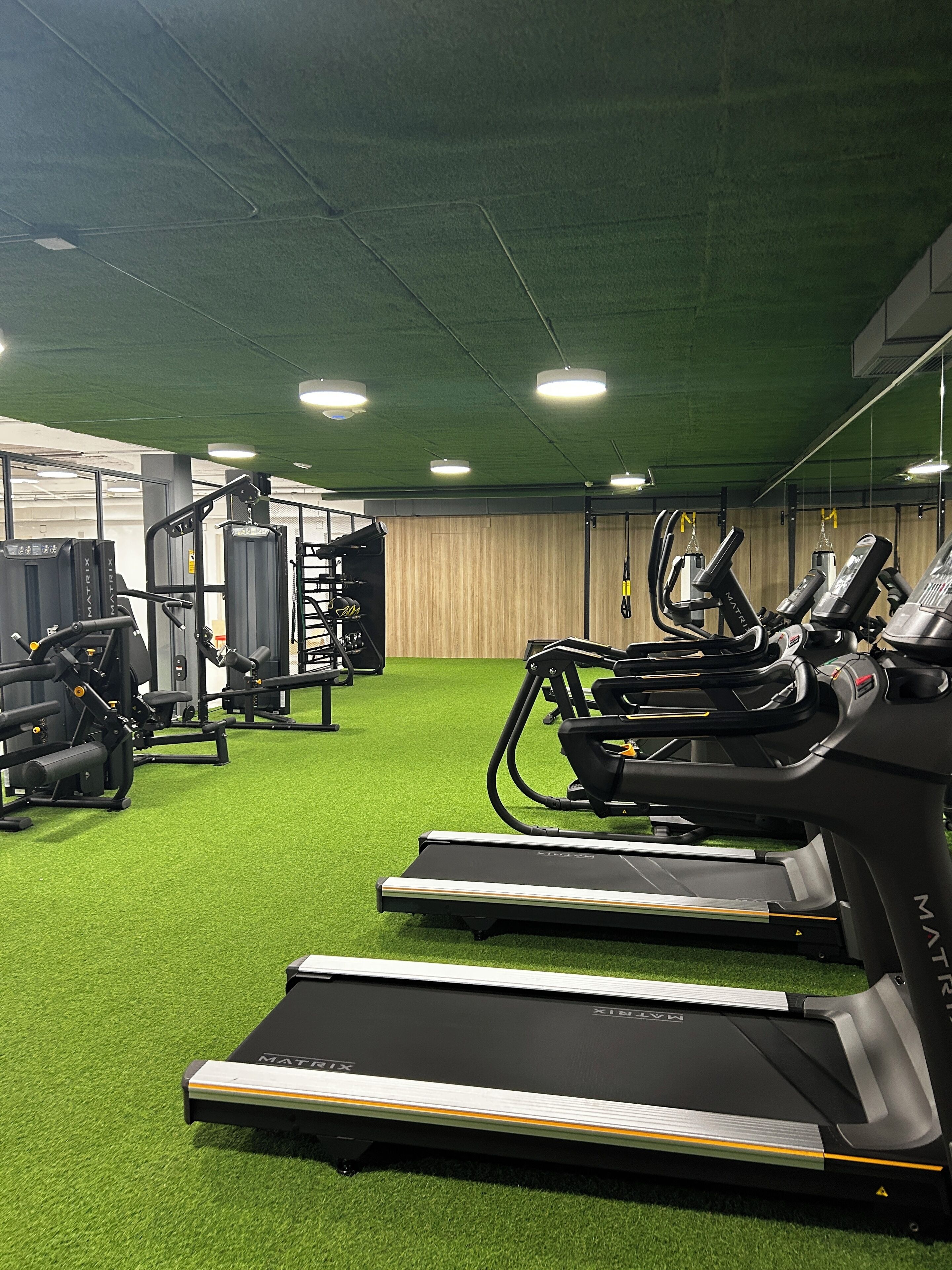Een fitnessruimte met loopbanden, krachtapparaten en een vloer van groen kunstgras.