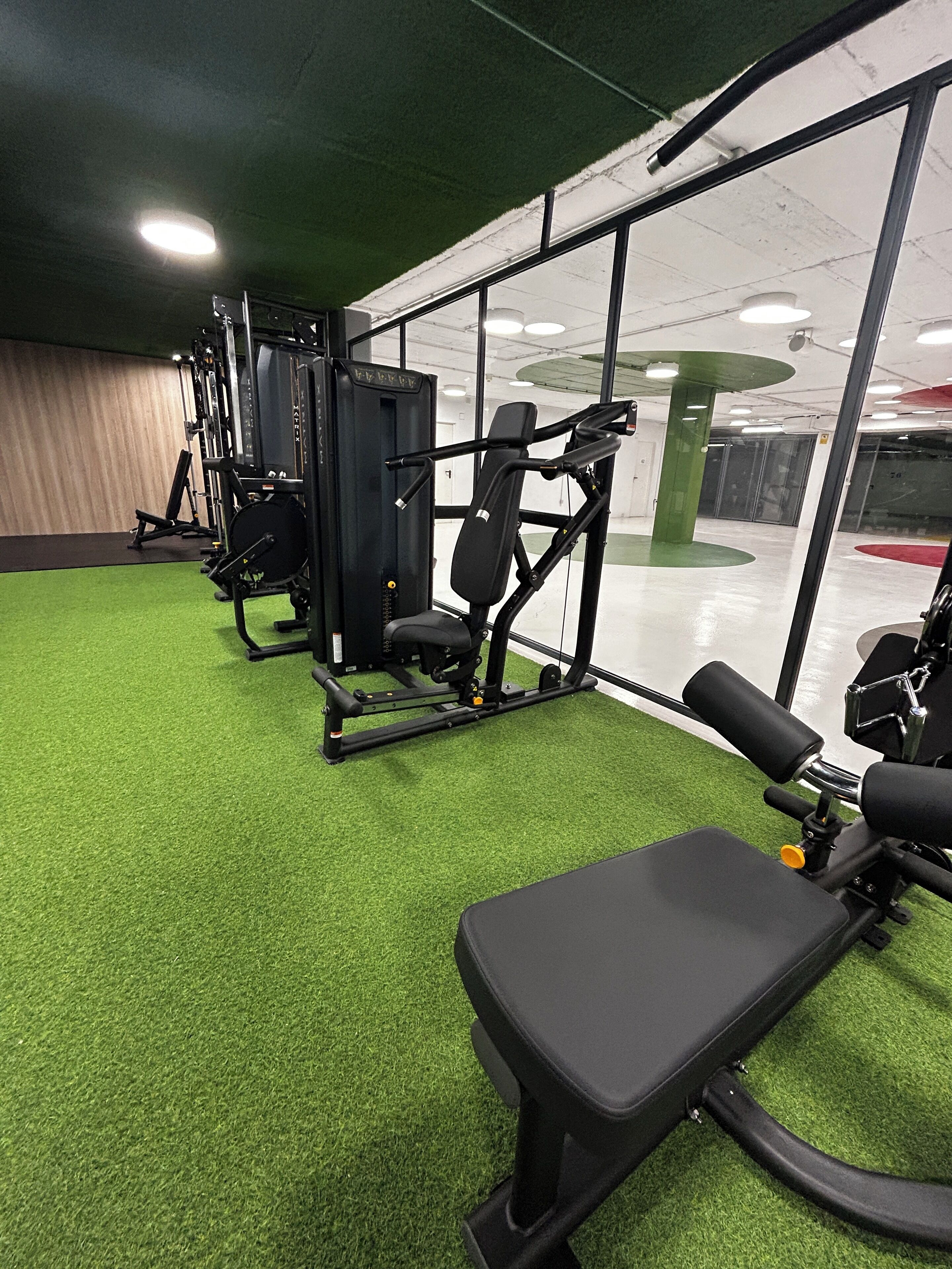 Ein Fitnessraum mit Trainingsgeräten, grünem Kunstrasenbelag und großen Fenstern.