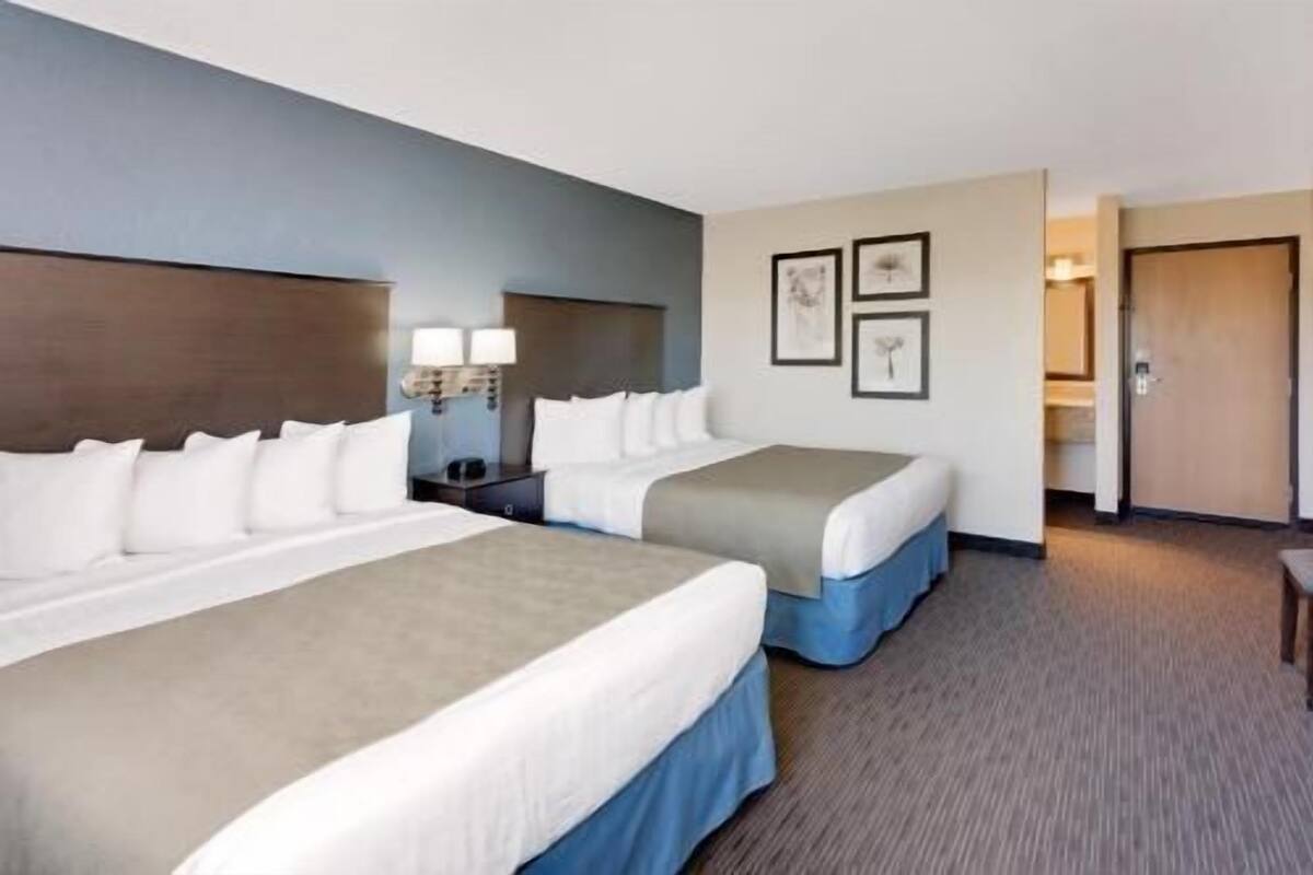 Pillow-top beds, in-room safe, desk, blackout curtains