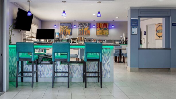 Un espace bar moderne avec des tabourets de bar de couleur turquoise, un téléviseur à écran plat et des œuvres d’art murales représentant la faune.