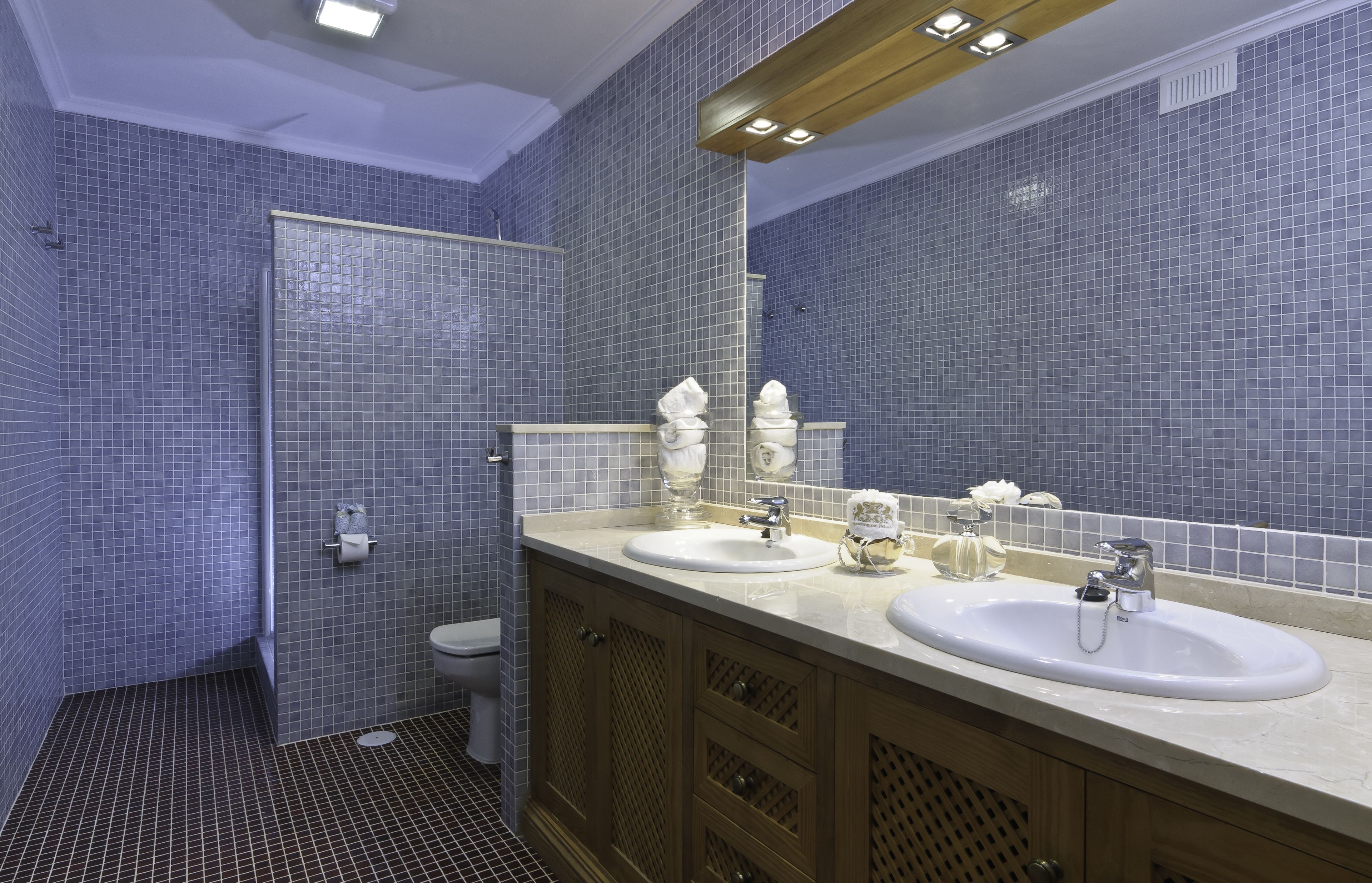 hair dryer, bidet, towels