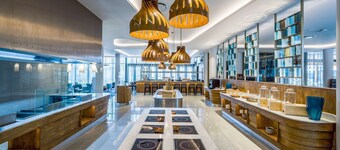 Radisson Hotel and Convention Centre OR Tambo Airport