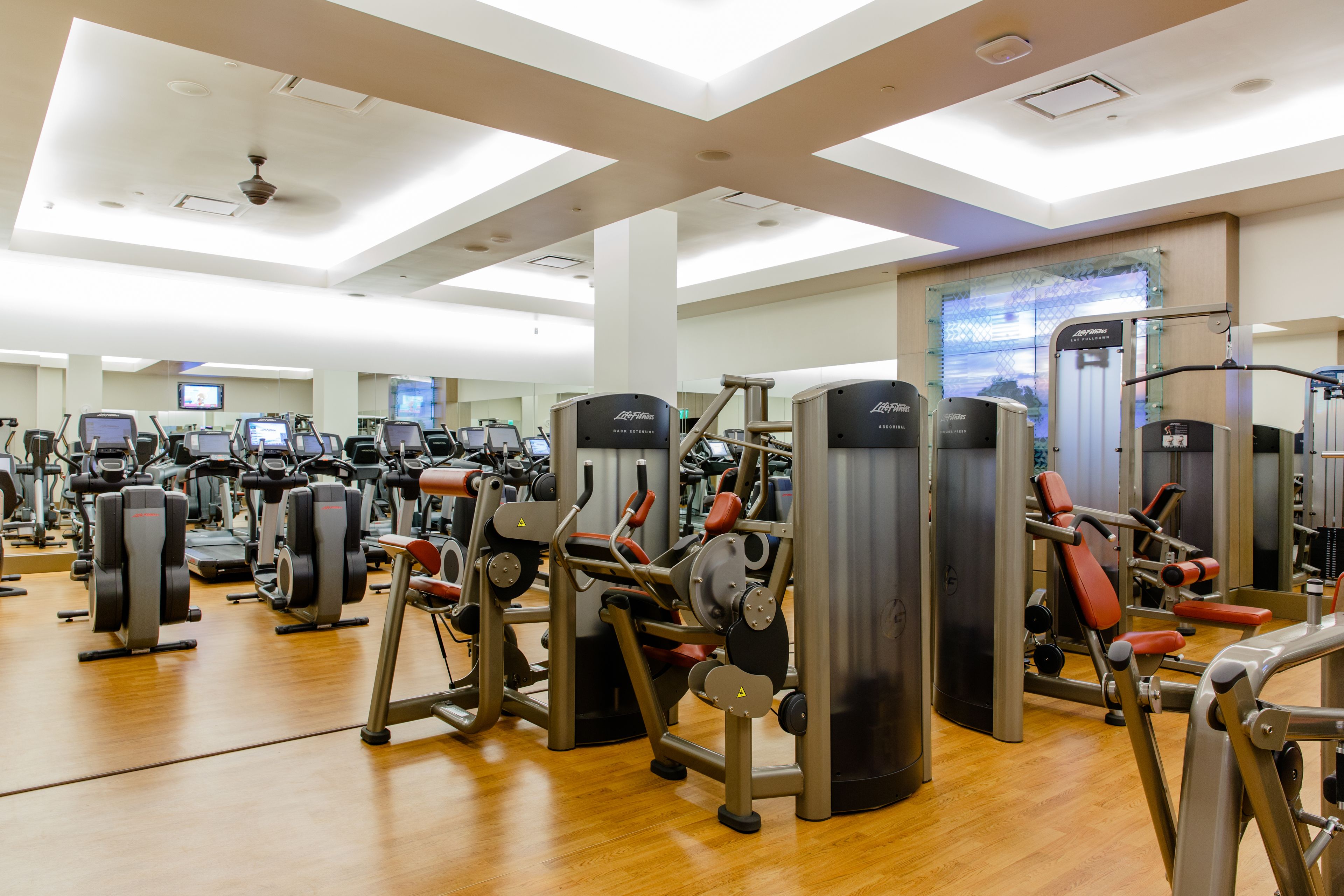 Gym