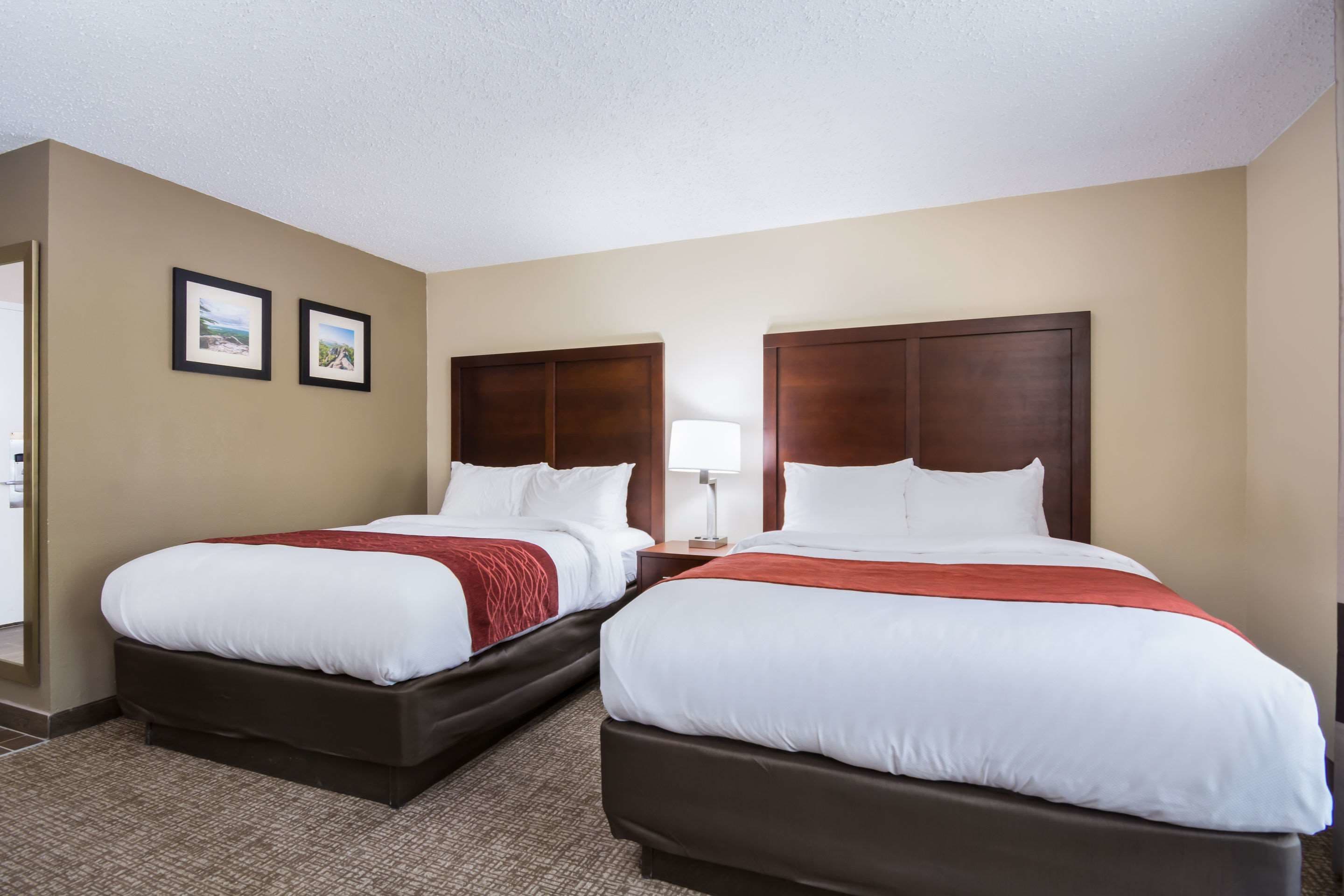 A hotel room with two beds, a nightstand, and a lamp.