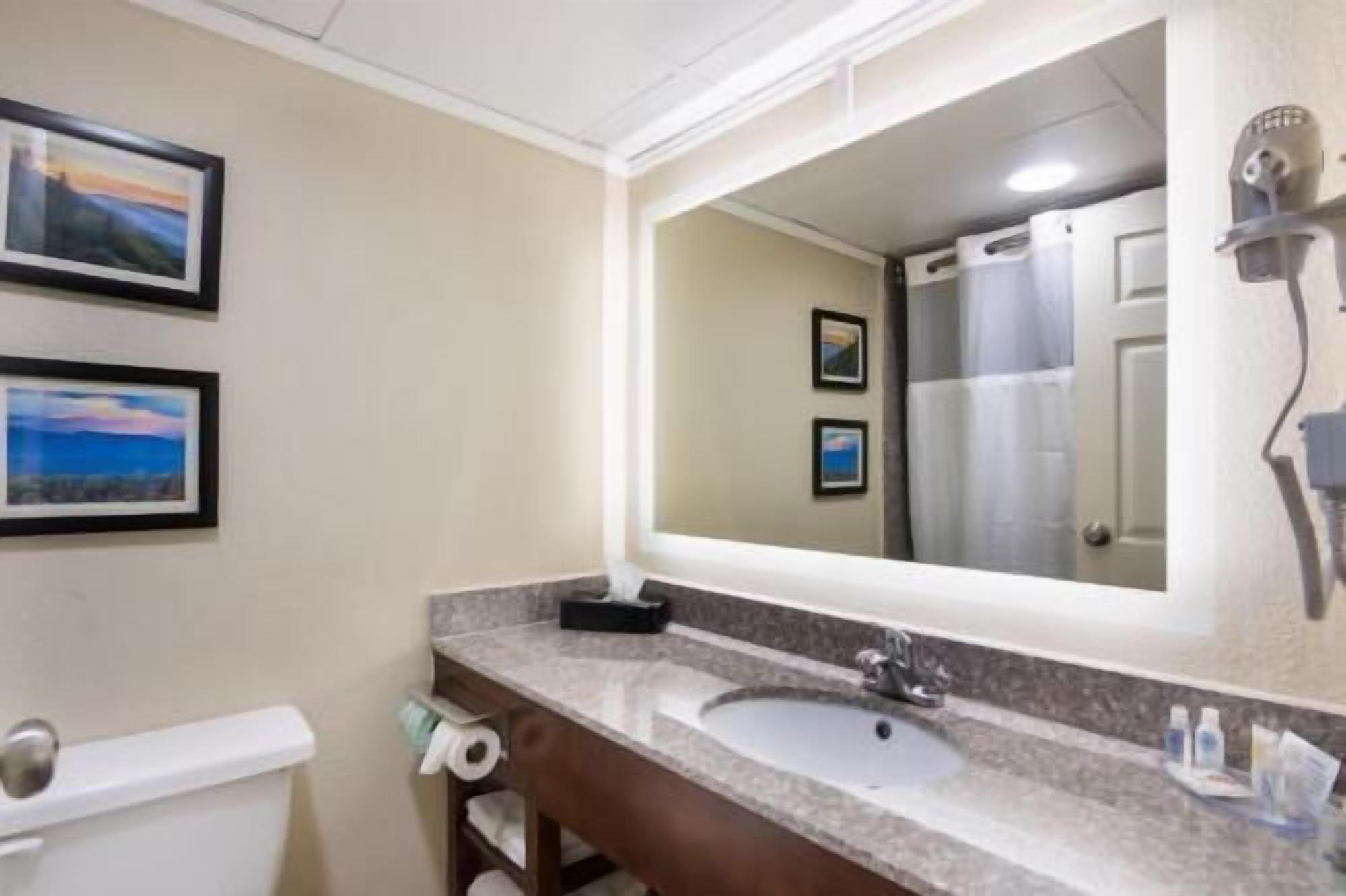 A bathroom with a sink, mirror, toilet, and two framed pictures on the wall.