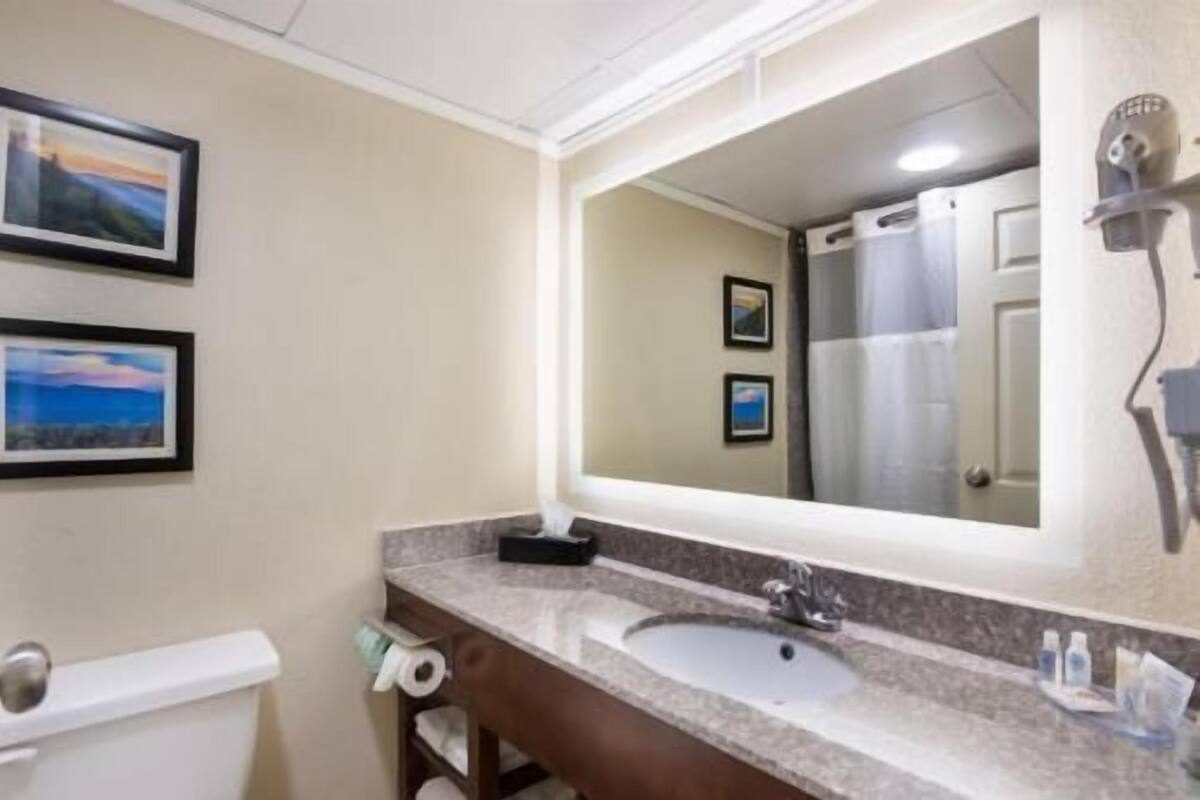 A bathroom with a sink, mirror, toilet, and two framed pictures on the wall.