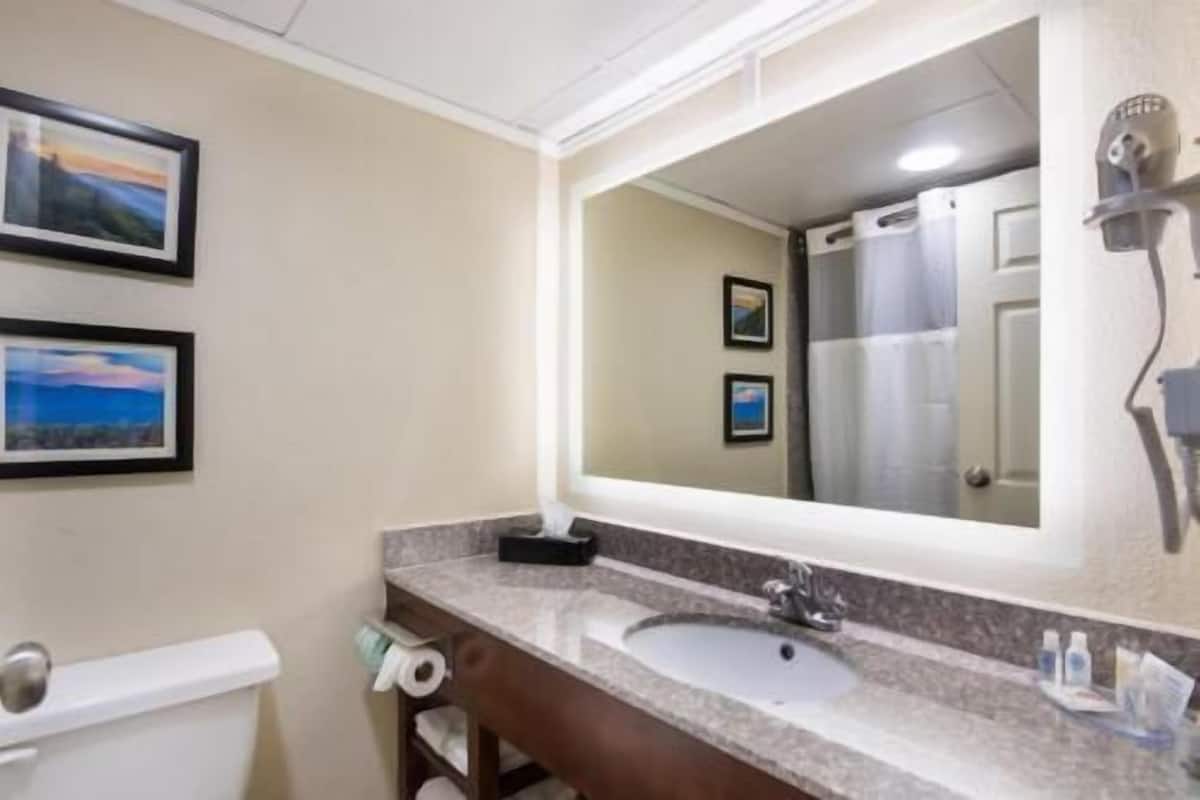 A bathroom with a sink, mirror, toilet, and two framed pictures on the wall.
