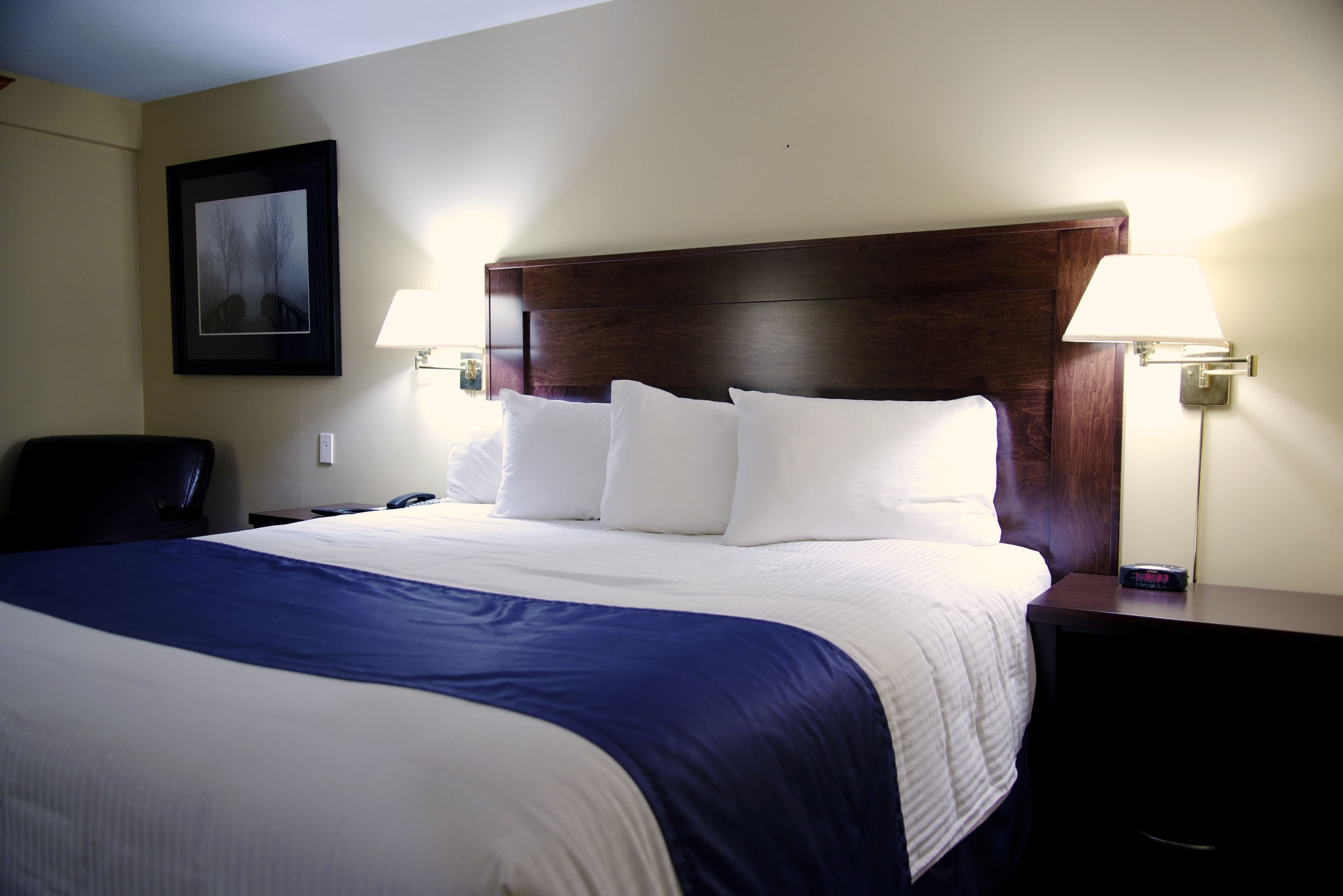 executive suite, 1 king bed | view from room