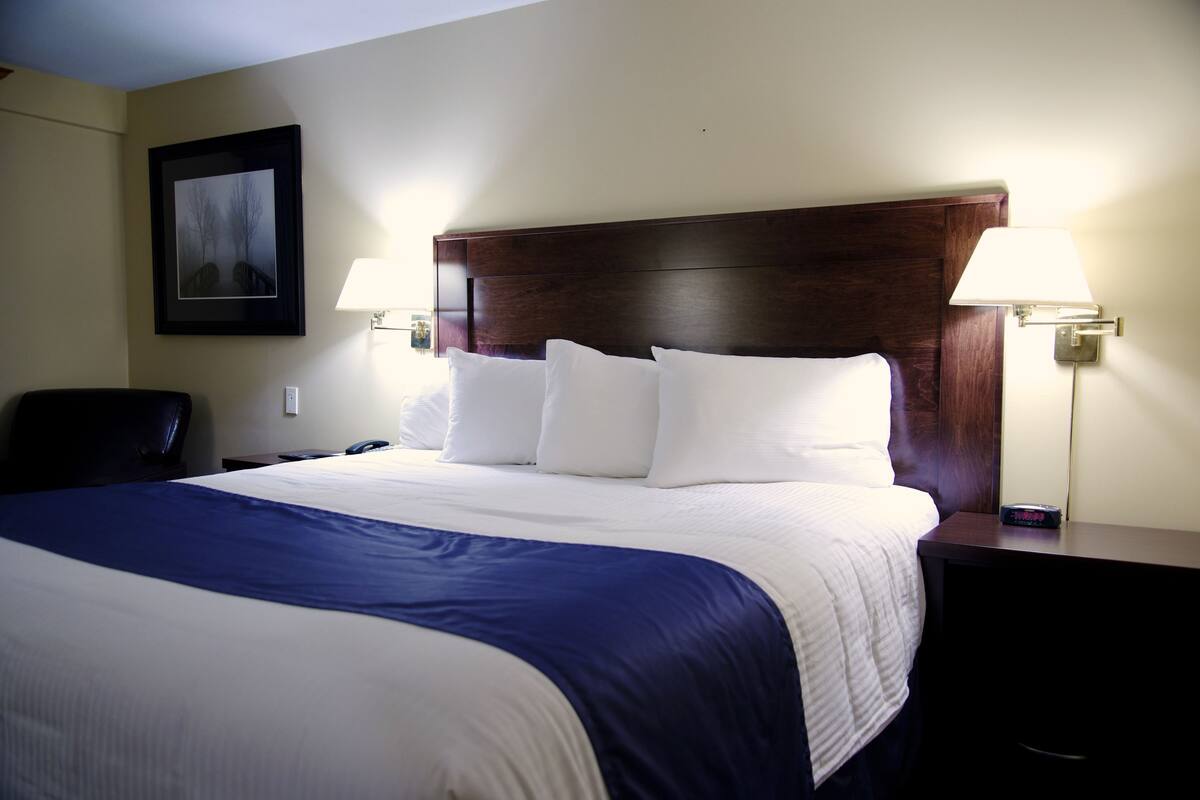 executive suite, 1 king bed | view from room