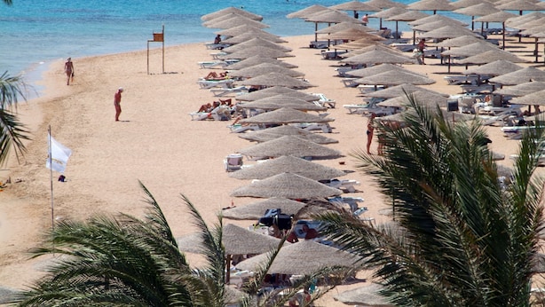 Ein Strand mit Liegestühlen, Sonnenschirmen, einer Flagge und Palmen.