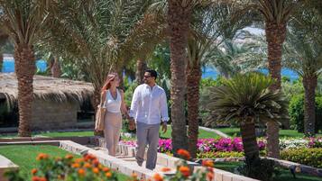 Un couple se promène sur un sentier bordé de palmiers et de plantes en fleurs.