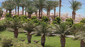 A resort with palm trees, a beach, and umbrellas.