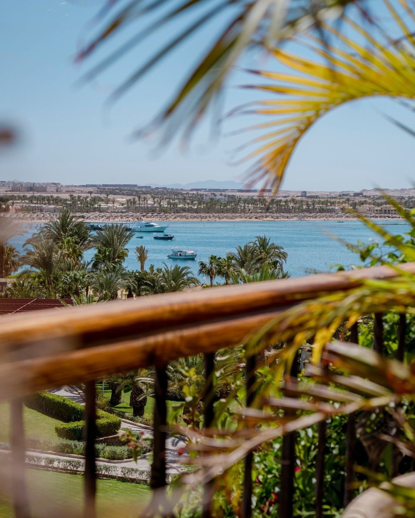 A coastal view with a beach, palm trees, and boats on the water.