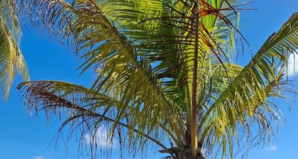 Cancun Bay All Inclusive Hotel