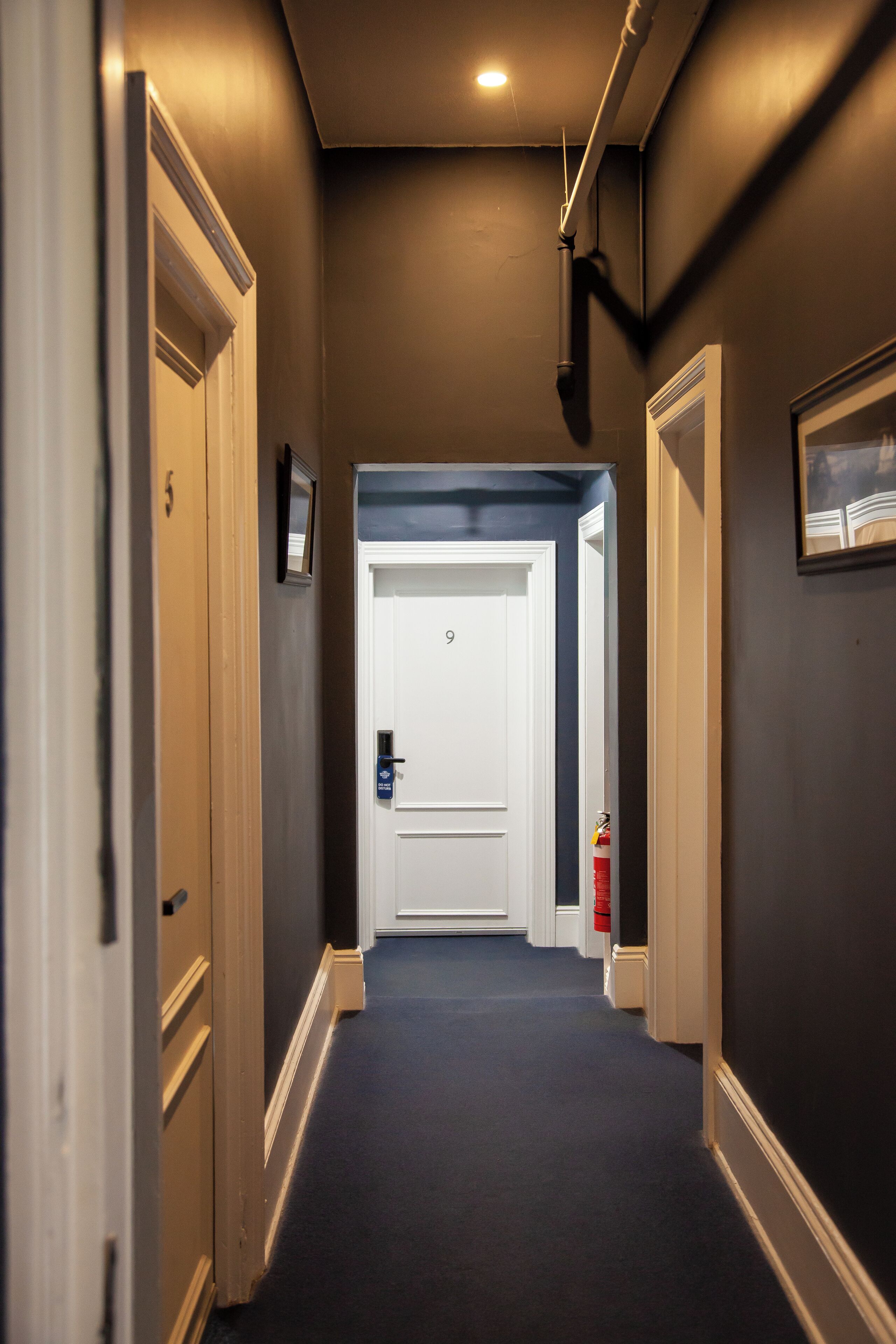 Foto - Bayswater Boutique Lodge - Potts Point
