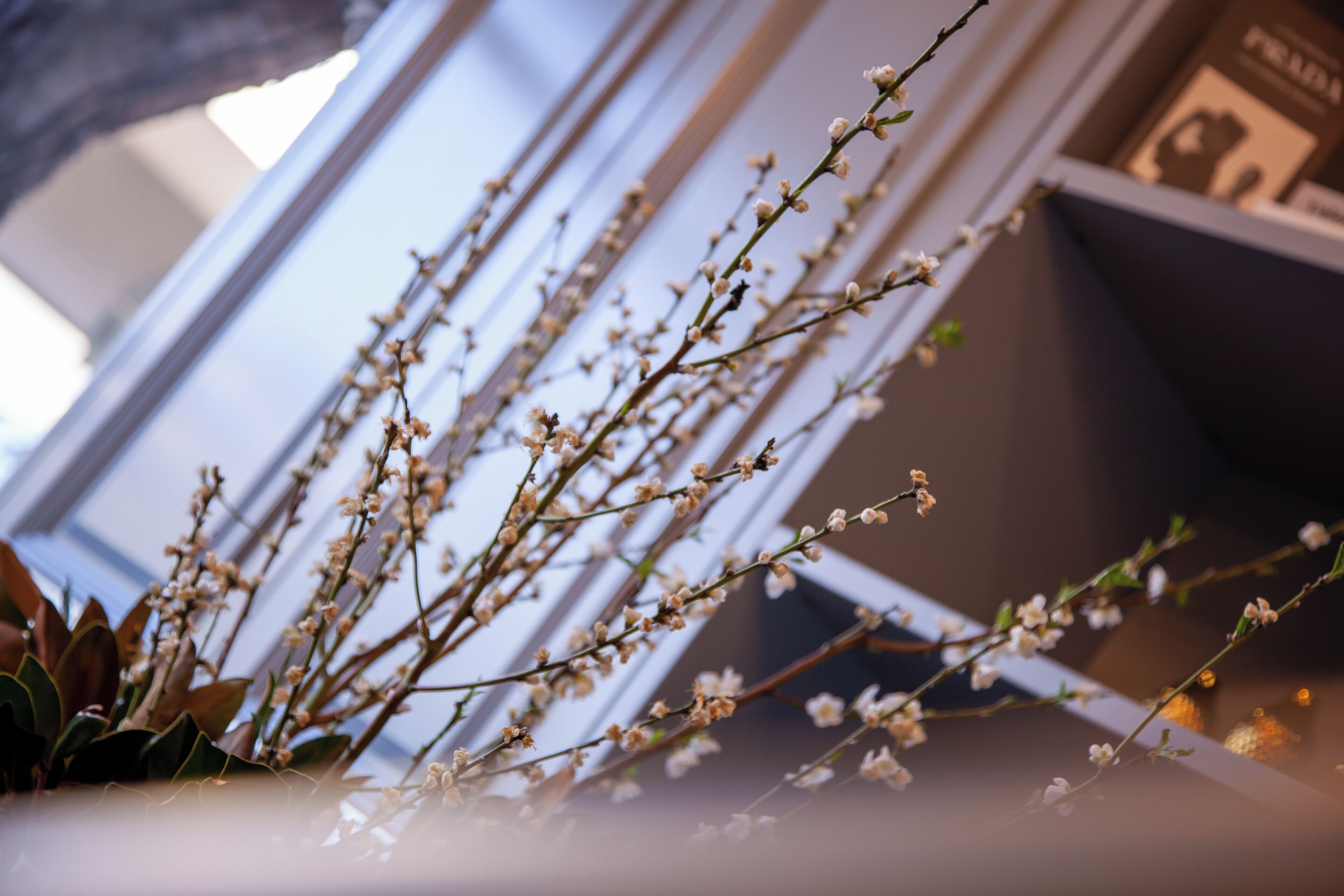 Foto - Bayswater Boutique Lodge - Potts Point