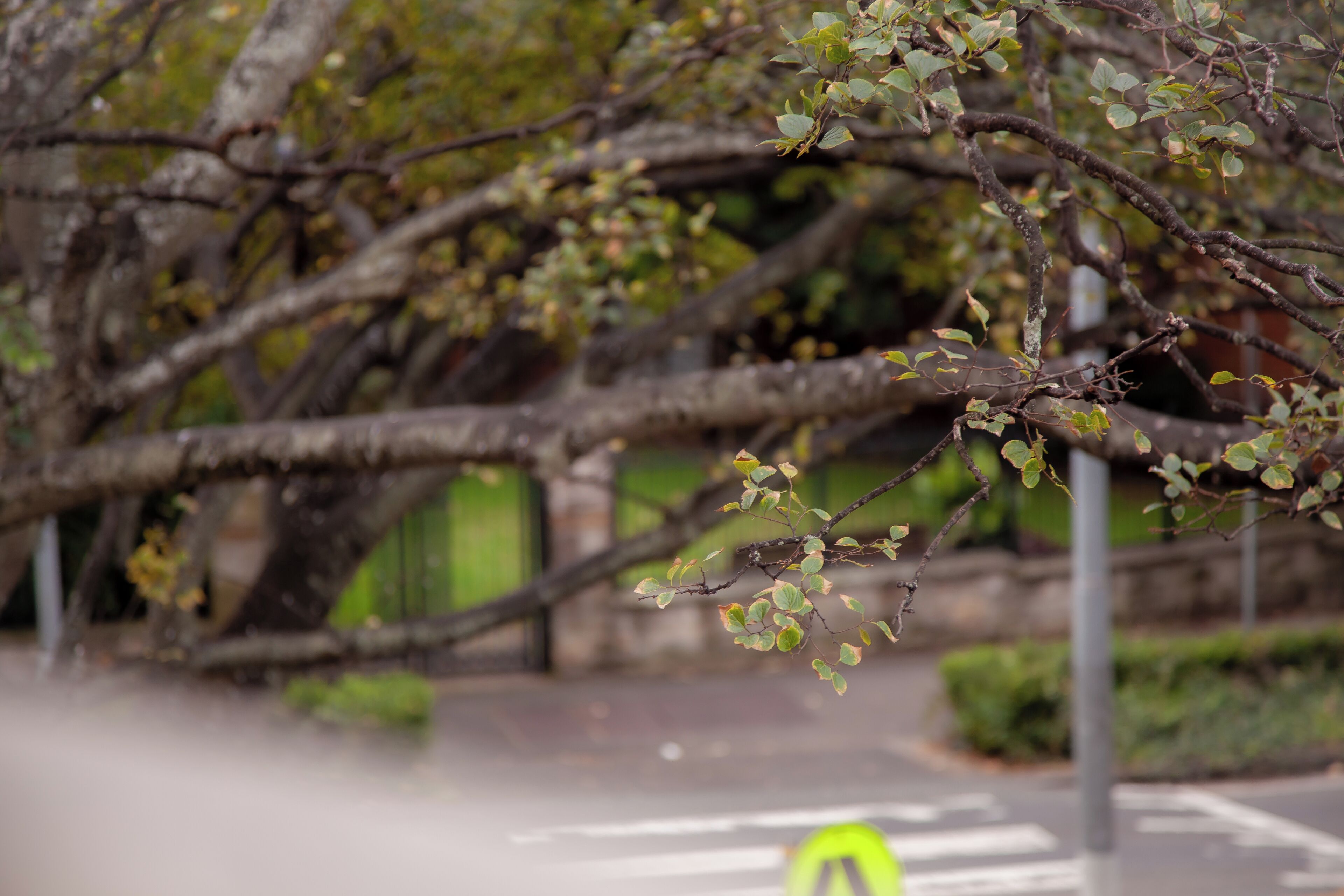 Foto - Bayswater Boutique Lodge - Potts Point