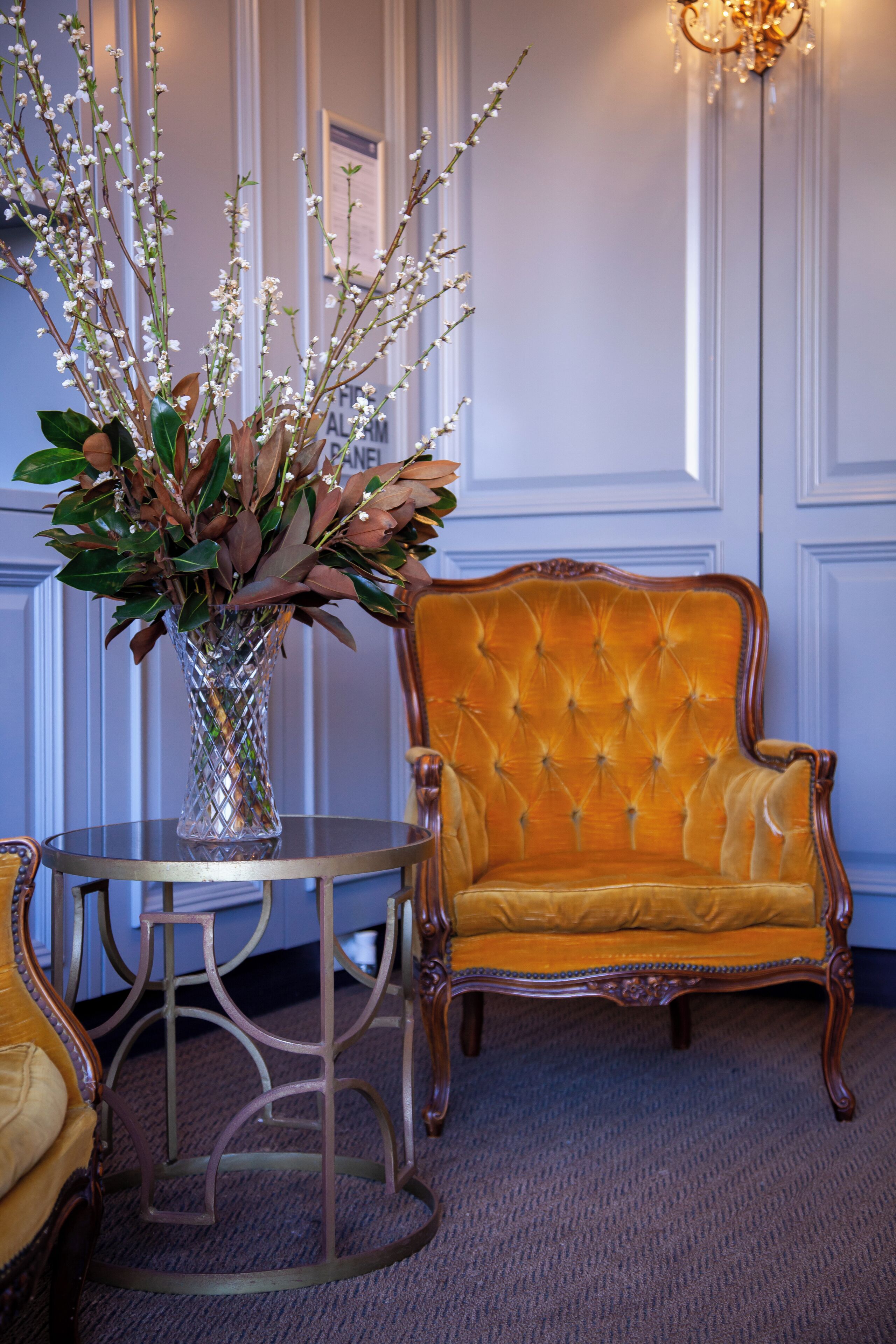 Foto - Bayswater Boutique Lodge - Potts Point