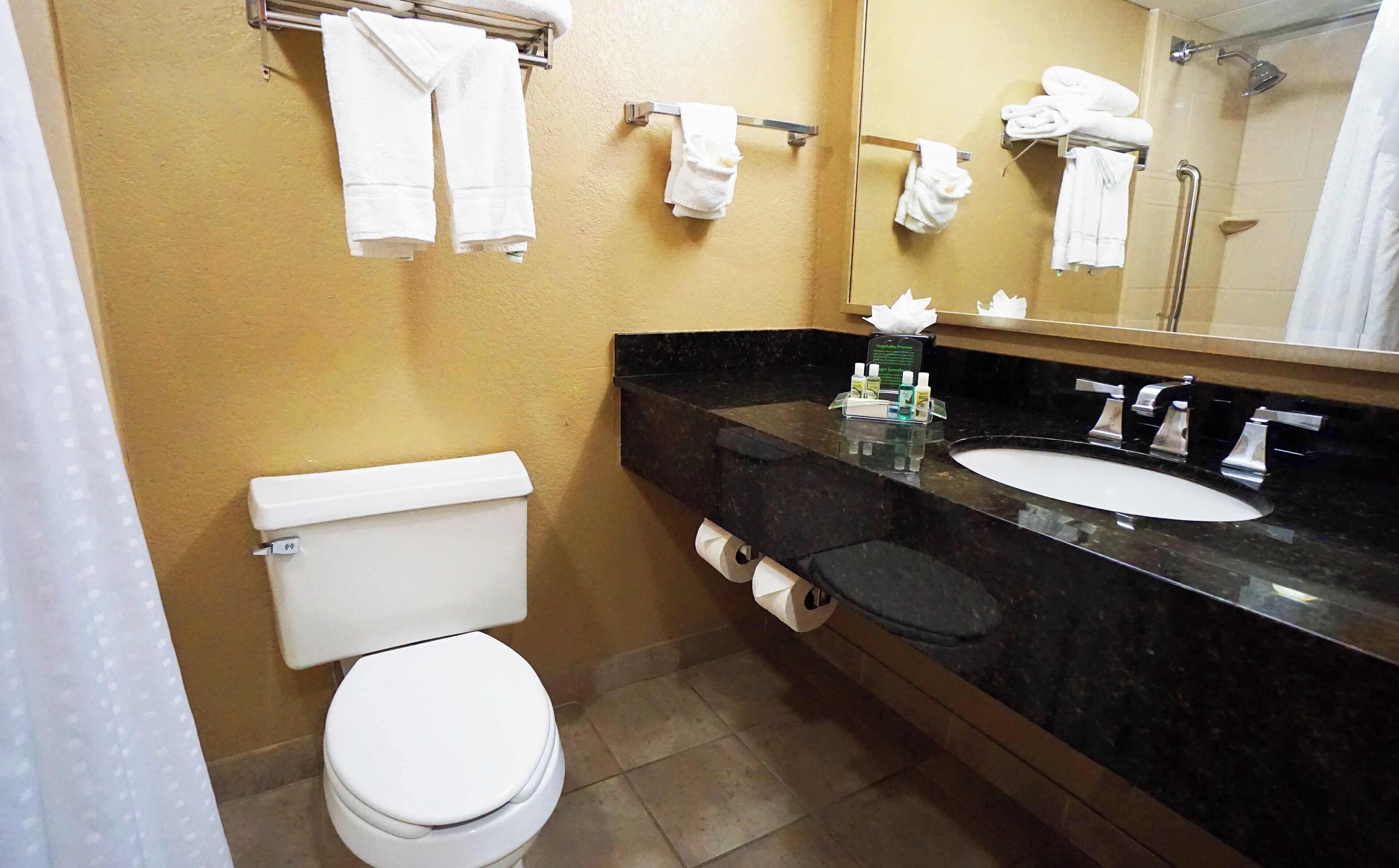 A bathroom with a toilet, sink, and towel rack.