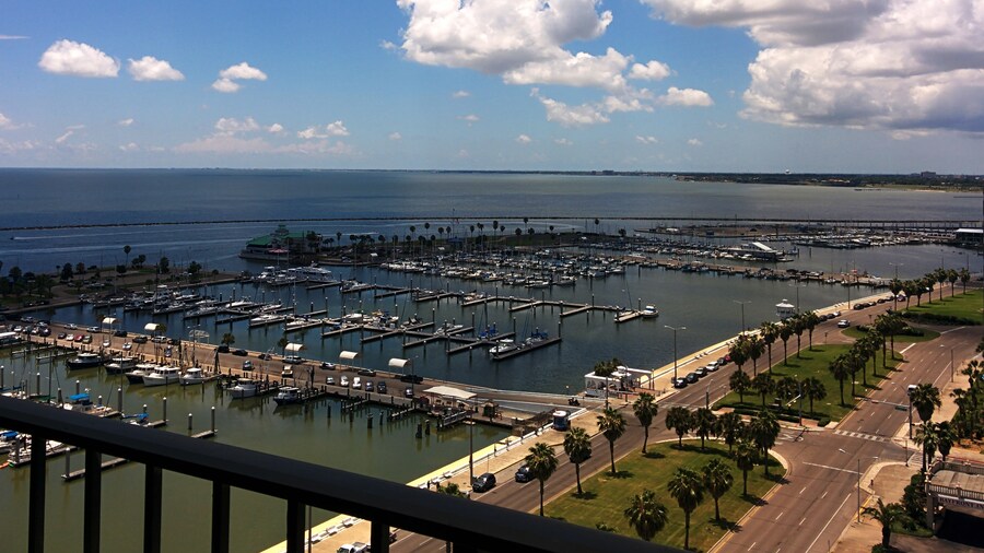 Holiday Inn Corpus Christi Downtown Marina by IHG