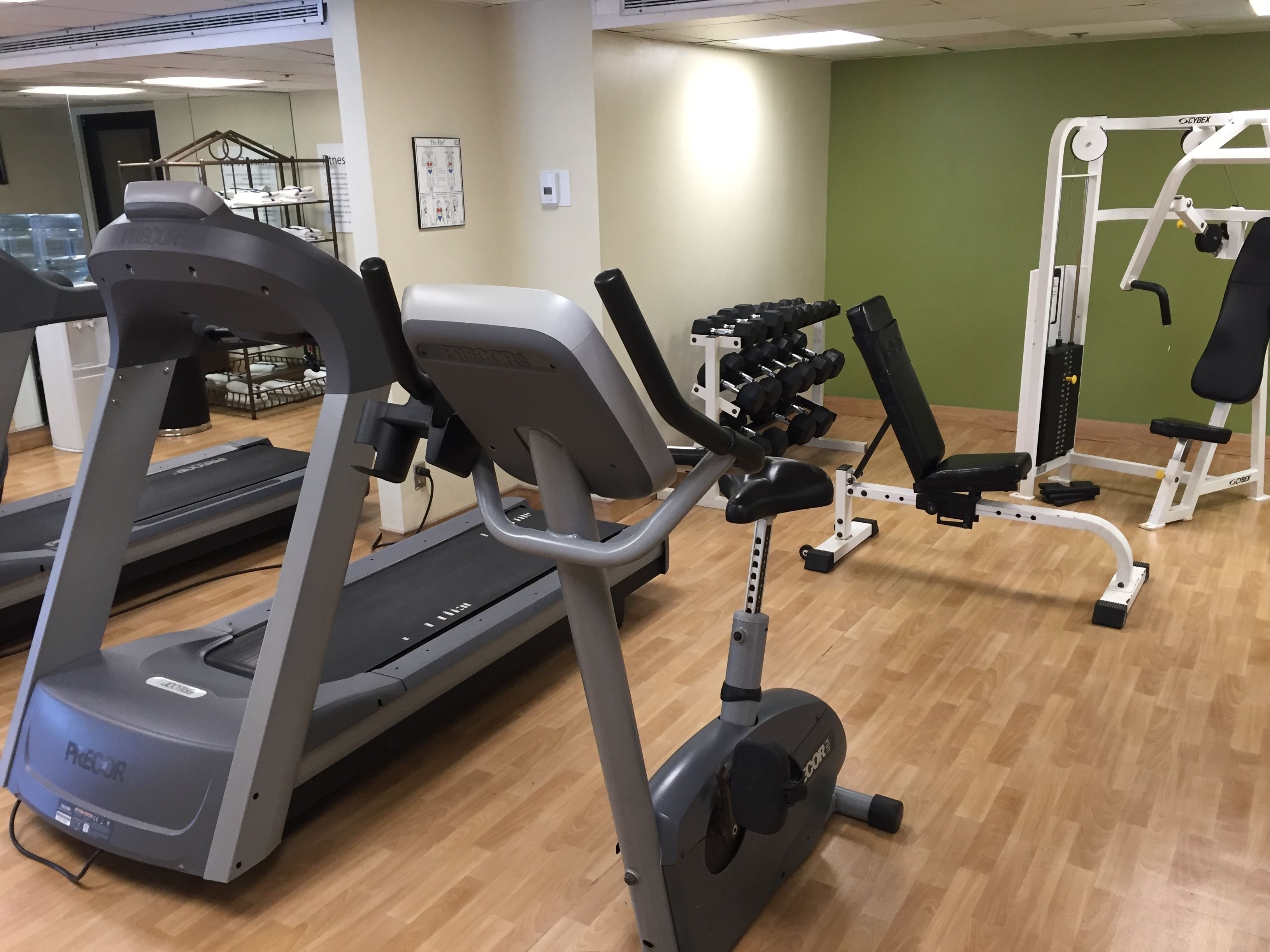 A gym with treadmills, weight machines, and dumbbells.