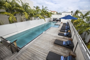 A rooftop pool area with lounge chairs and umbrellas, surrounded by palm trees and a white building. - Posh South Beach Hostel (Miami Beach)