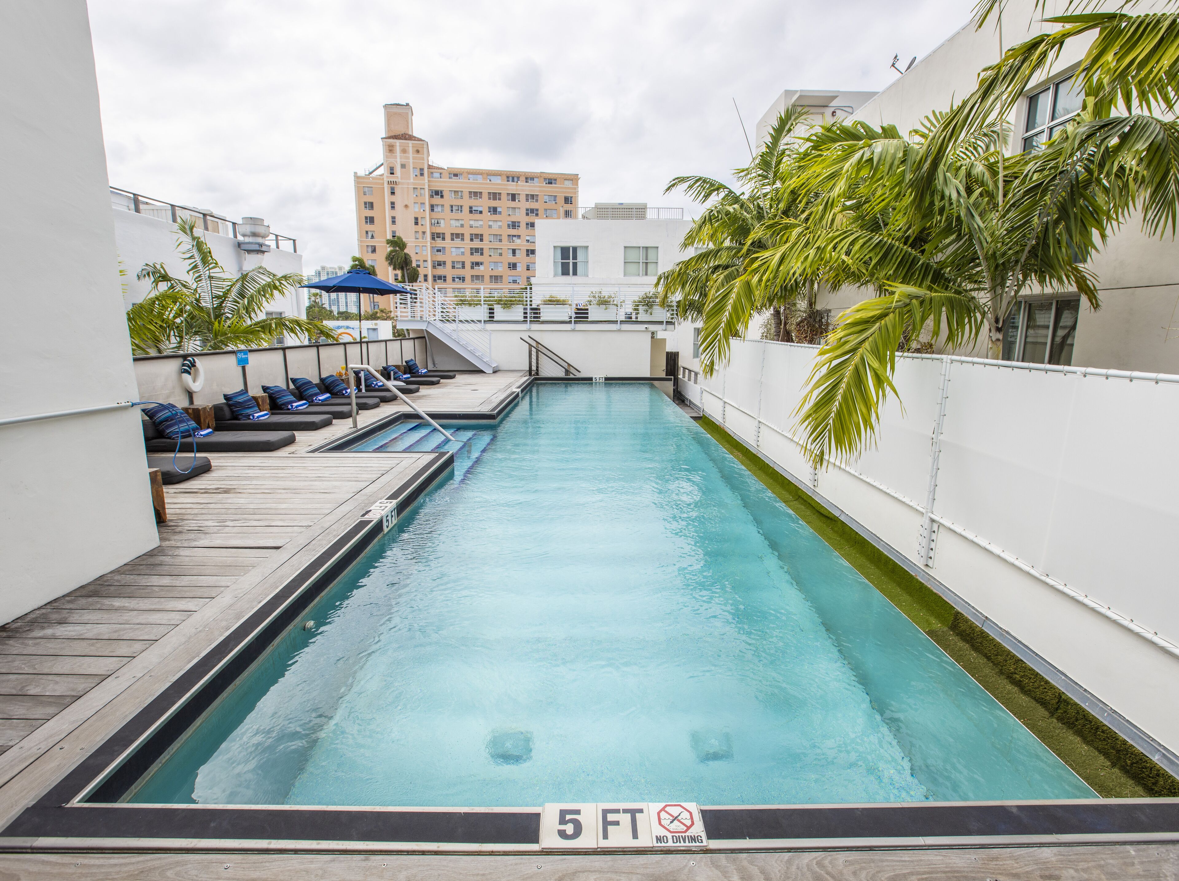 Outdoor pool, sun loungers