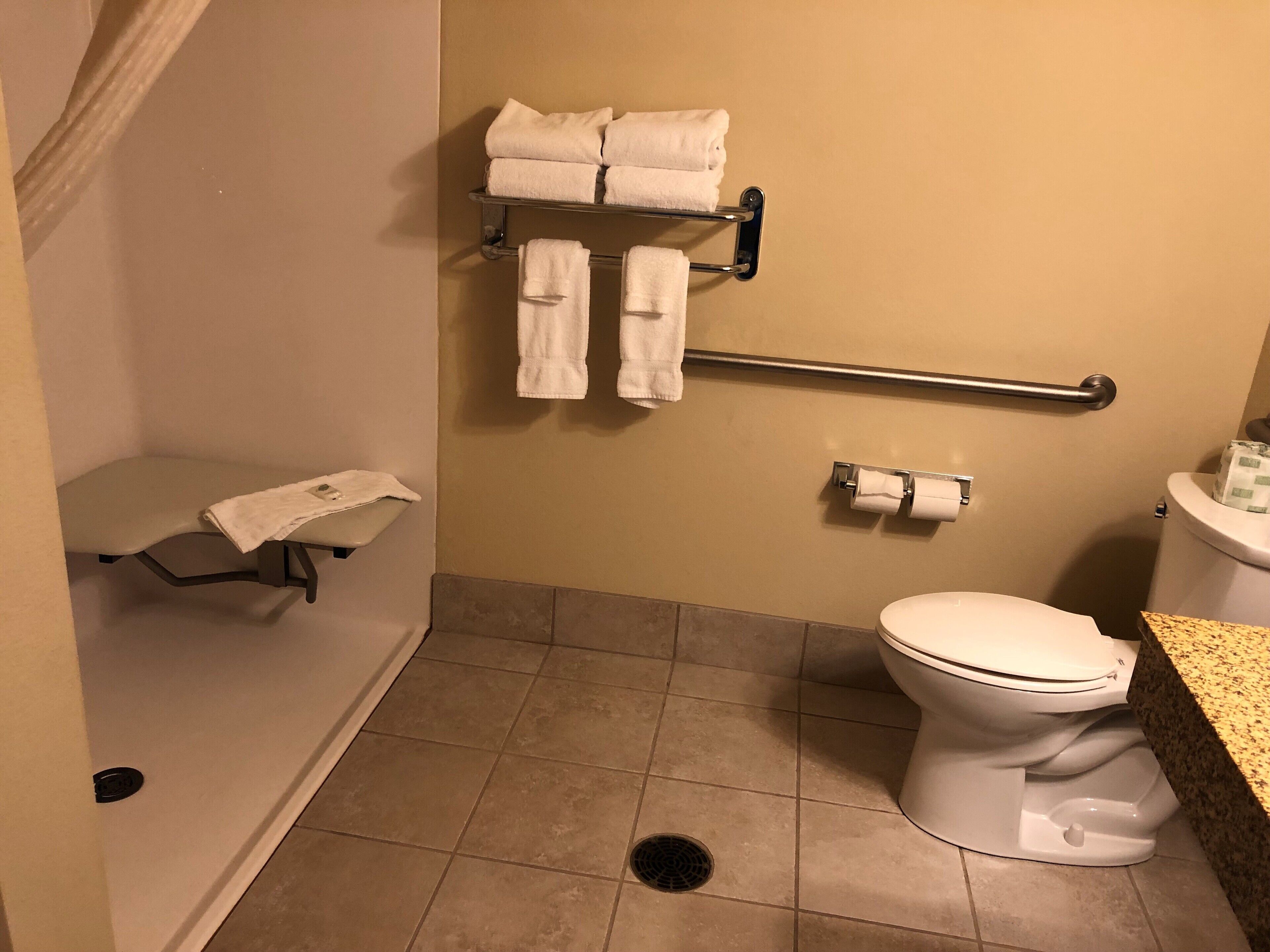 combined shower/bathtub, free toiletries, hair dryer, towels