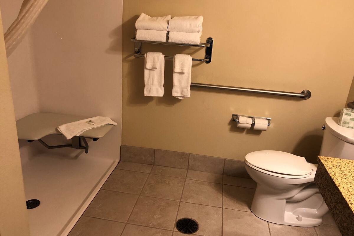 combined shower/bathtub, free toiletries, hair dryer, towels