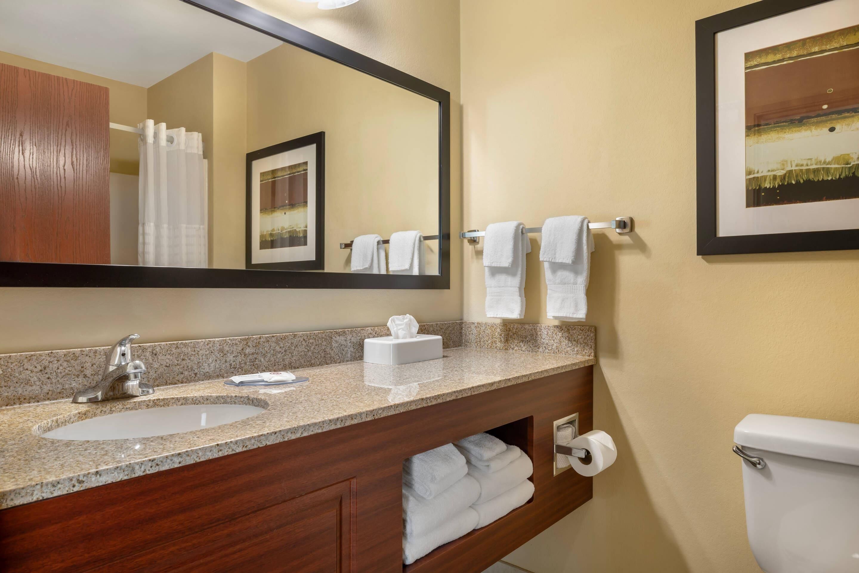 A bathroom with a granite countertop sink, a mirror, a towel rack, a toilet, and a framed picture on the wall.