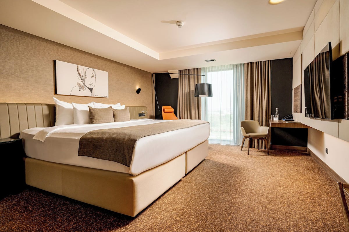 Executive Double or Twin Room | Premium bedding, memory-foam beds, minibar, in-room safe