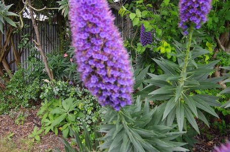 Roupas de cama premium, frigobar, cofres nos quartos. Hamilton Lakeside Motel