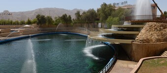 One To One Hotel and Resort, Ain Al Faida