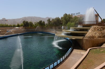 One To One Hotel and Resort, Ain Al Faida