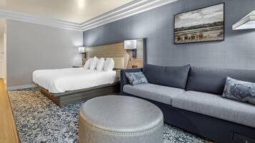 Standard Room, 1 King Bed, Non Smoking, River View (Shower Only;with Sofabed) | Hypo-allergenic bedding, pillow-top beds, desk, laptop workspace
