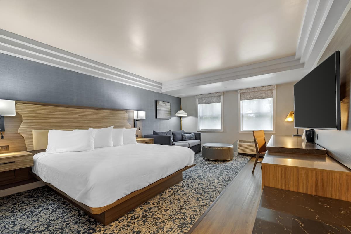 Standard Room, 1 King Bed, Non Smoking, River View (Shower Only;with Sofabed) | Hypo-allergenic bedding available, pillowtop beds, desk