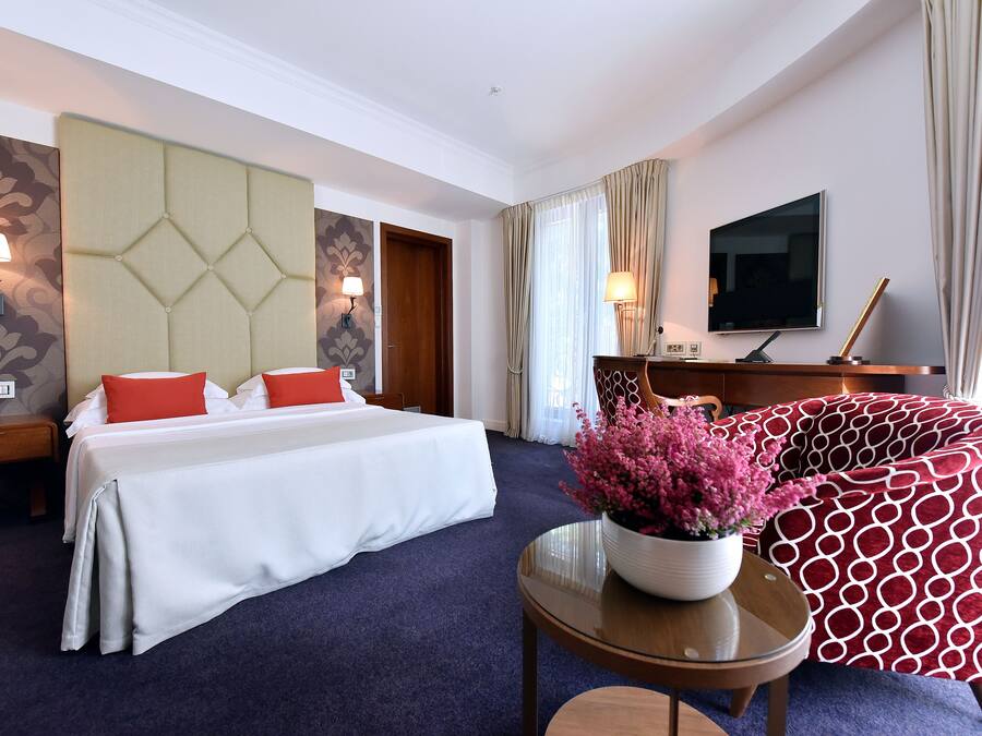 Habitación de hotel con cama, sofá, televisión y una mesa con un florero.