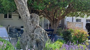 A garden with a large tree, lavender, and a stone bench. - Villa Badi (Umag)