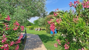 Garden view - Villa Badi (Umag)
