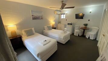 A hotel room with two single beds, a ceiling fan, a flat-screen TV, a microwave, a small table with a plant, and a white chair.