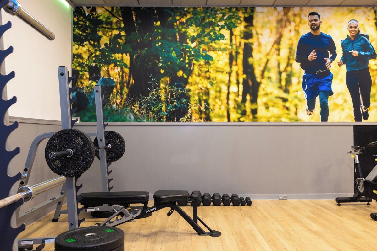 A gym with weightlifting equipment, a bench, and a wall with a nature-themed mural.